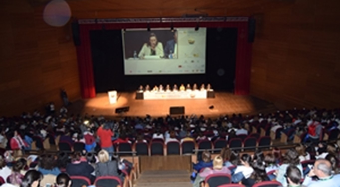 Resumen X Congreso Nacional de FAECAP. Toledo 2017